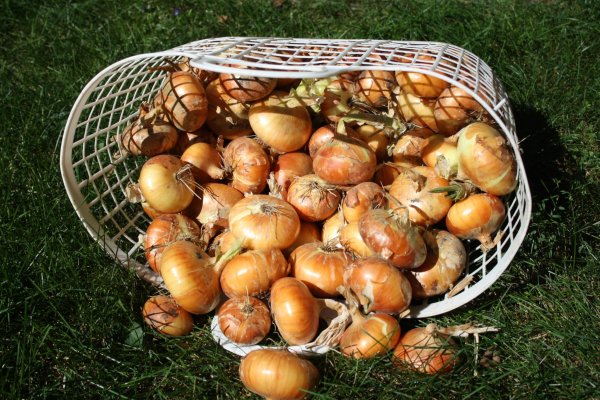 Кракен сайт 2krnk