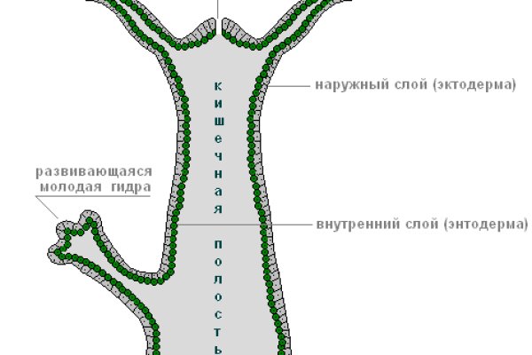 Кракен шоп интернет нарко