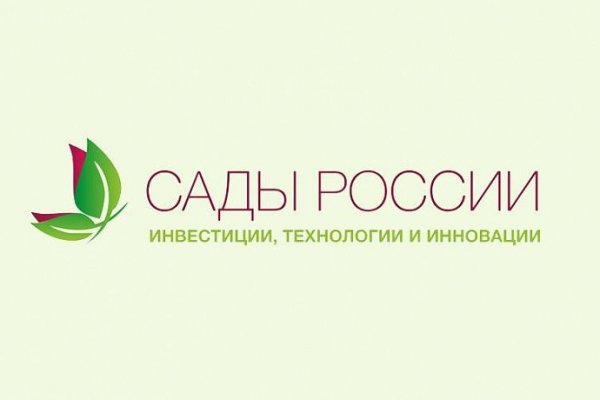 Kraken 14 at сайт