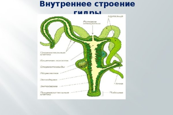 Почему не работает кракен сегодня