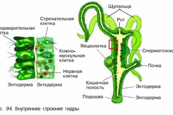 Маркетплейс кракен kraken darknet top