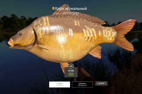 Пополнить кошелек кракен